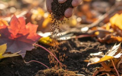 Fall Coffee Ground Recycling – Refresh Your Garden Beds, Compost And Turf