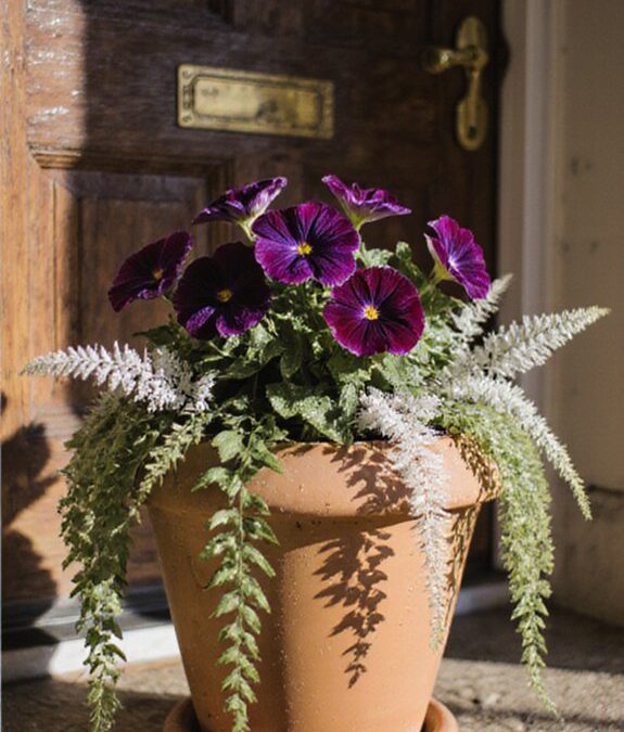 Summer Front Door Container Gardens: Purple and White Plant Combinations