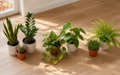How to Simplify Plant Care Before a Fall Getaway